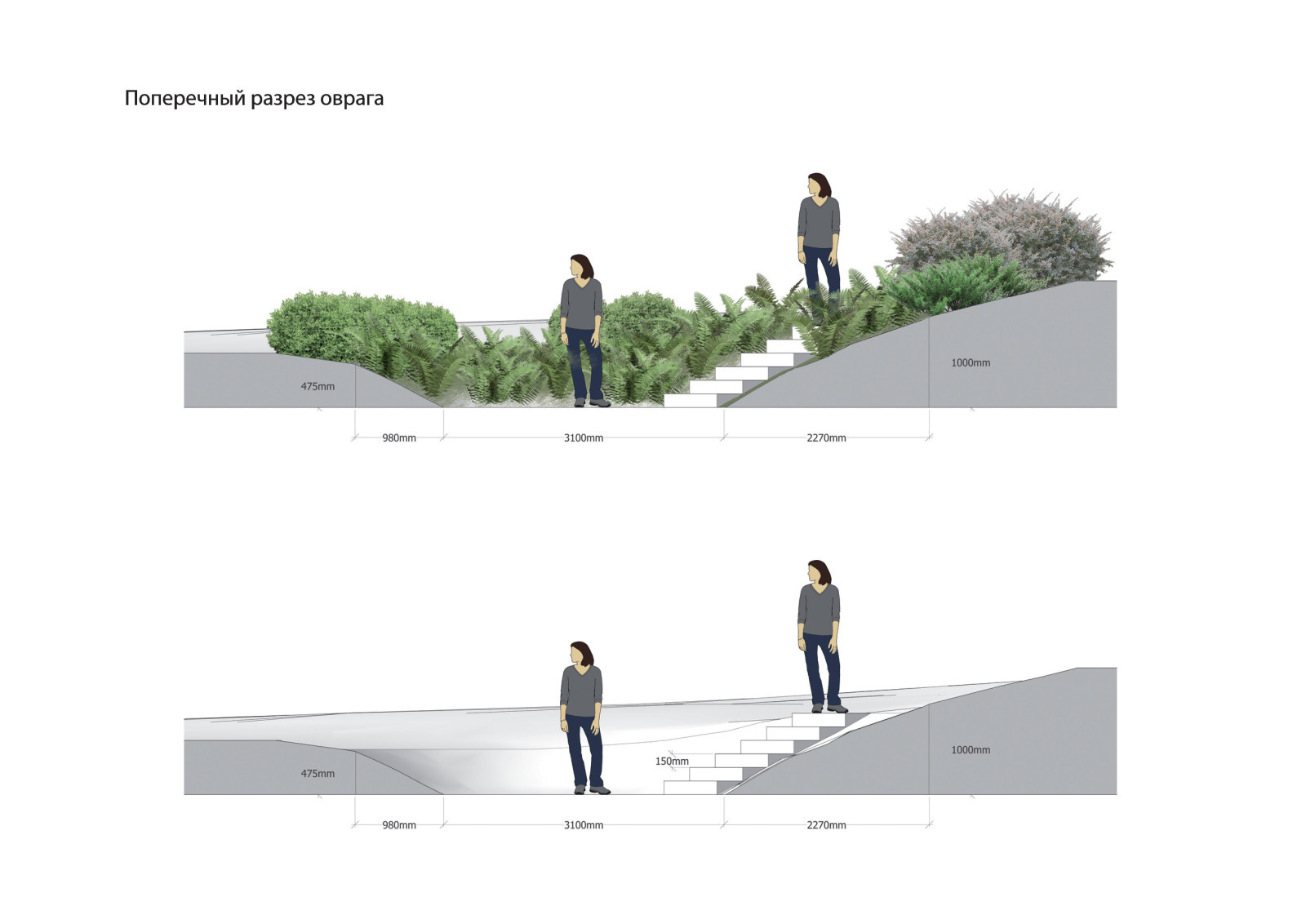 Лесной сад в пригороде