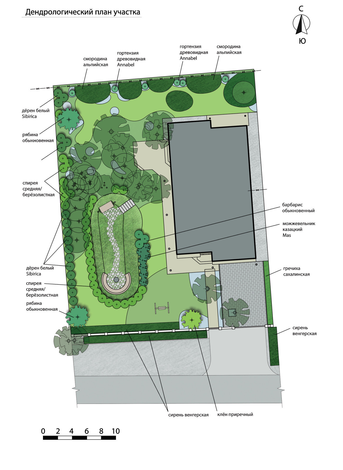 Лесной сад в пригороде