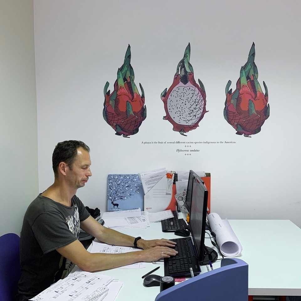 Дизайн-студия 33dodo