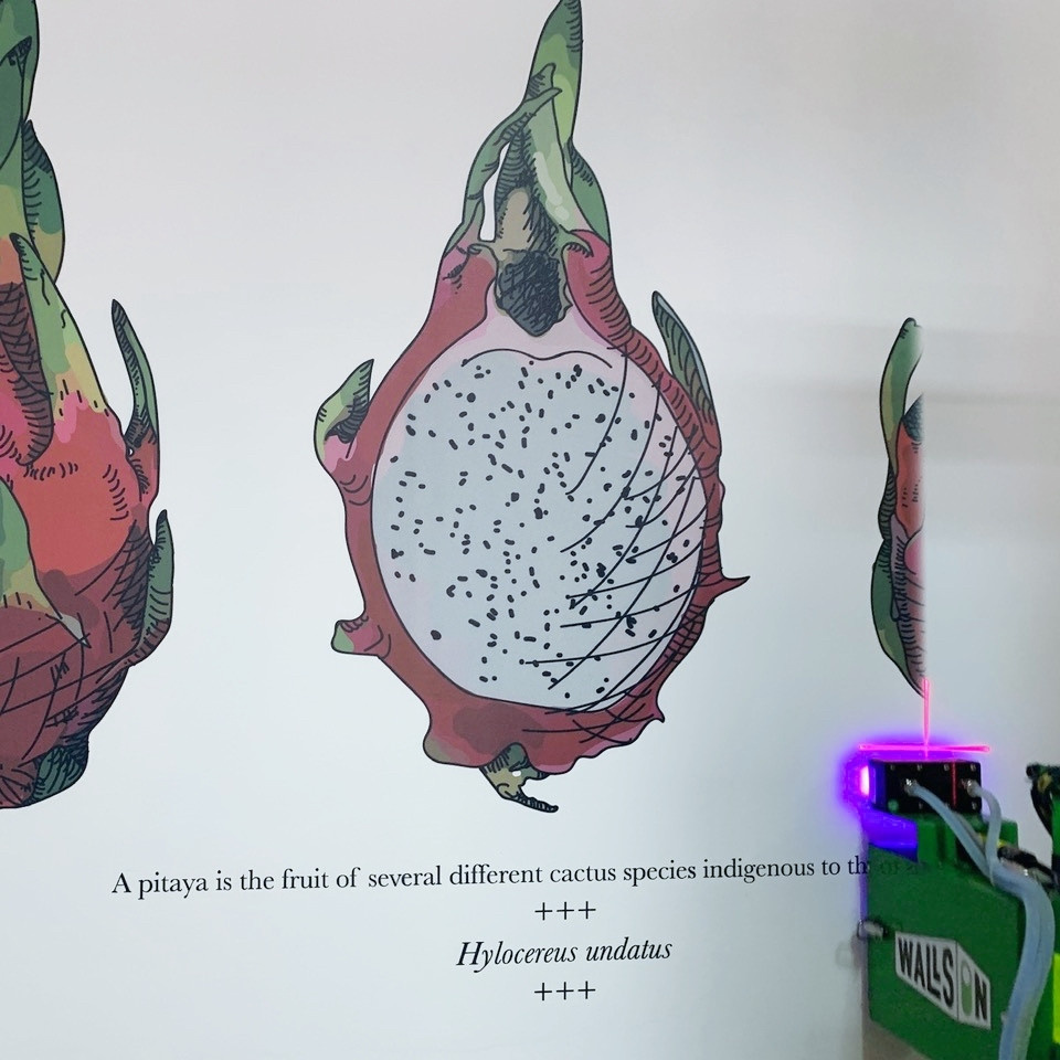 Дизайн-студия 33dodo