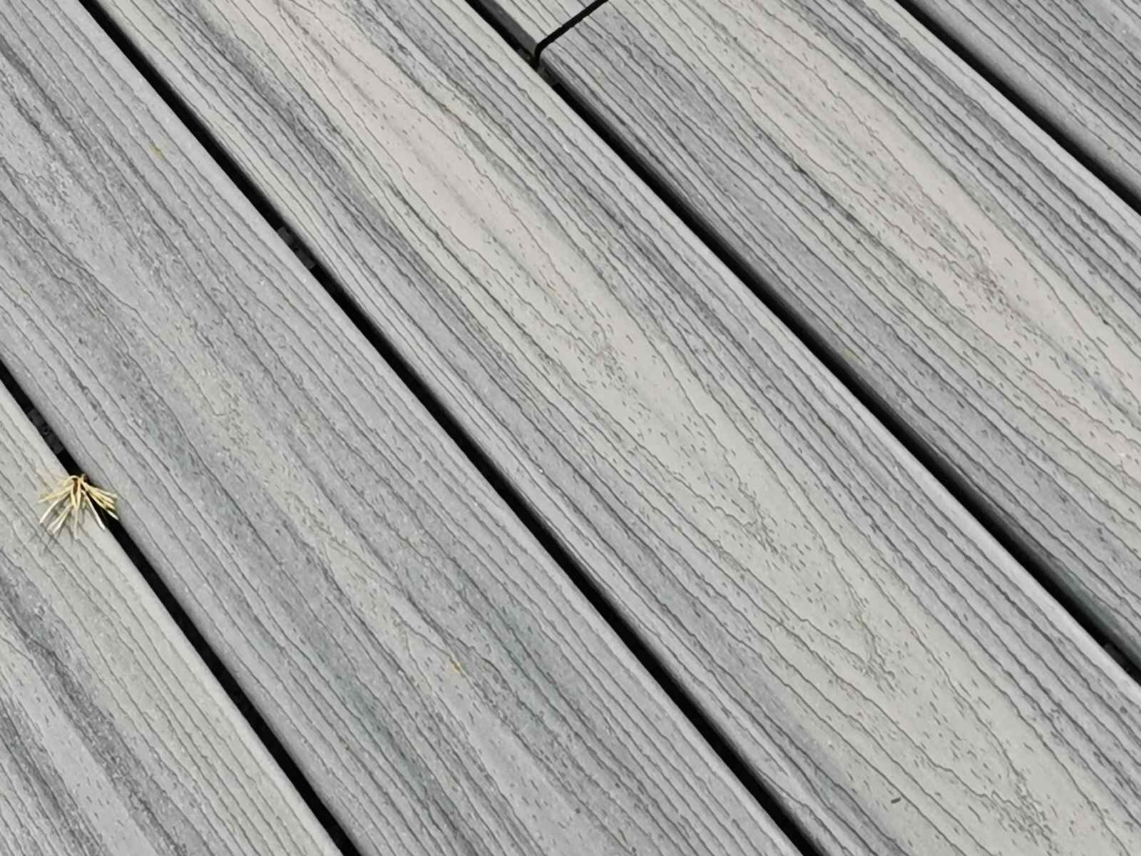 Террасы у дома в лесу