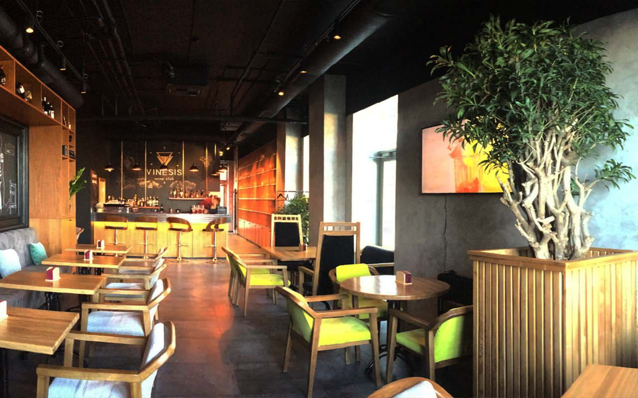 Винотека "Vinesis"
