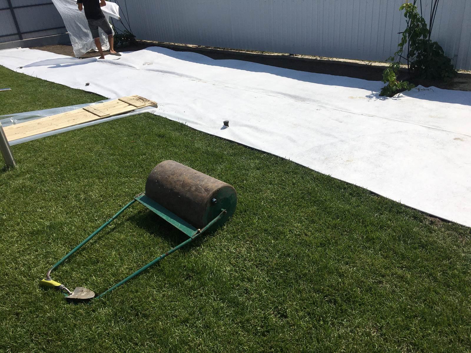 Озеленение и благоустройство