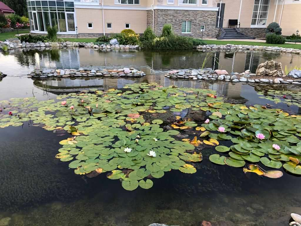 Декоративный водоём в Казани