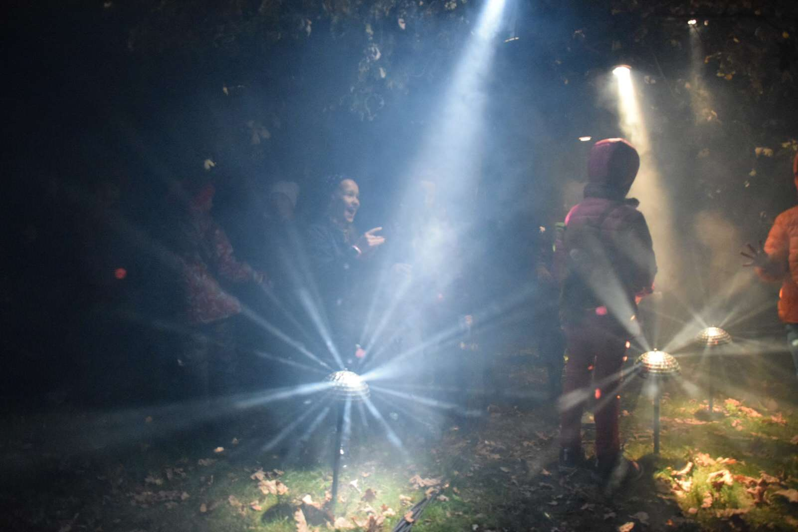 Световая инсталляция Magic glade