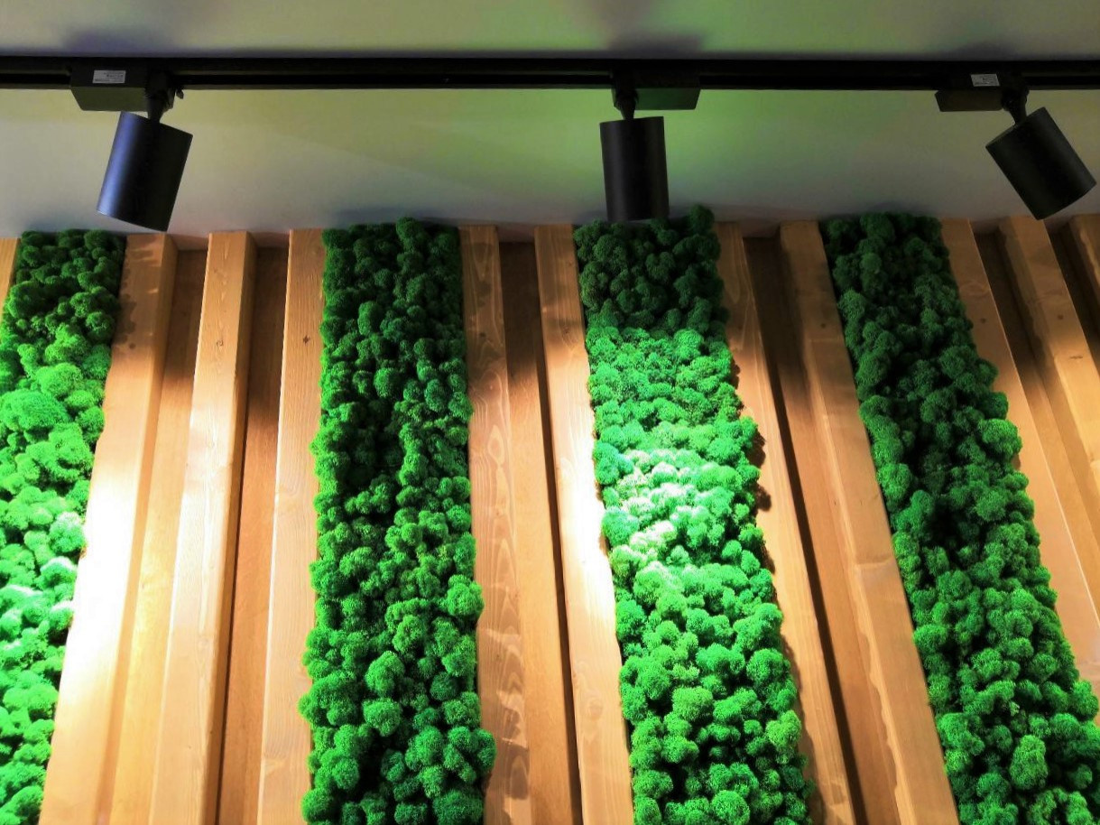 Мужская обитель.