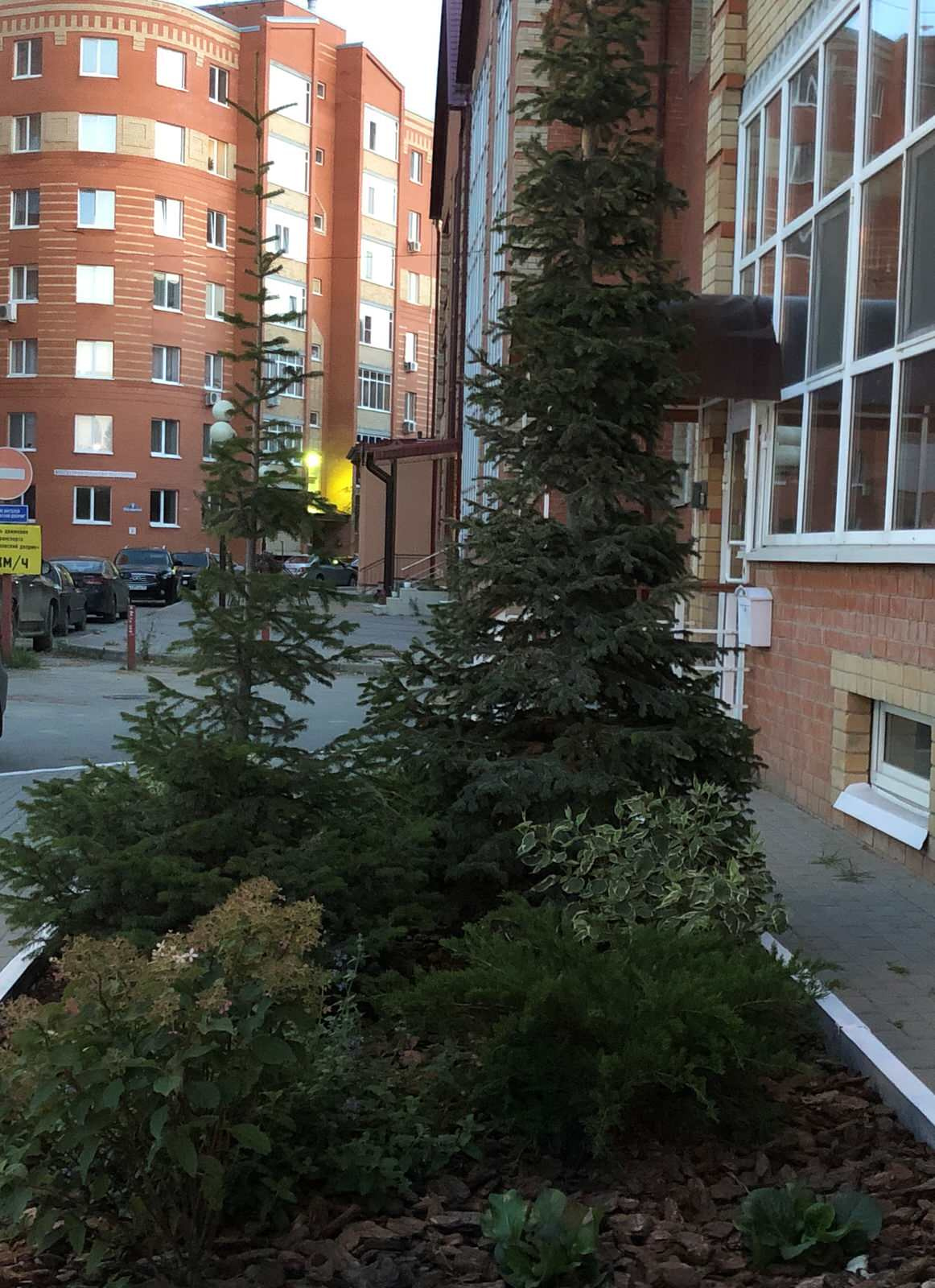Зеленый уголок в каменных джунглях