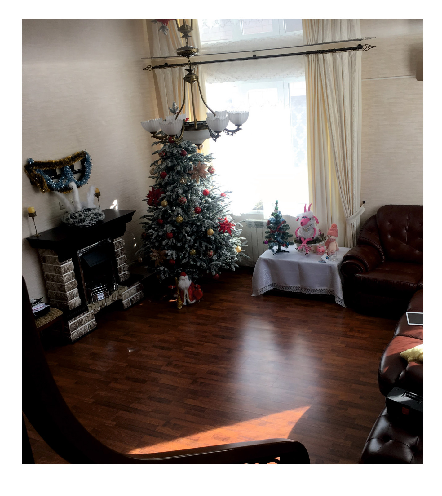 Новая жизнь дома