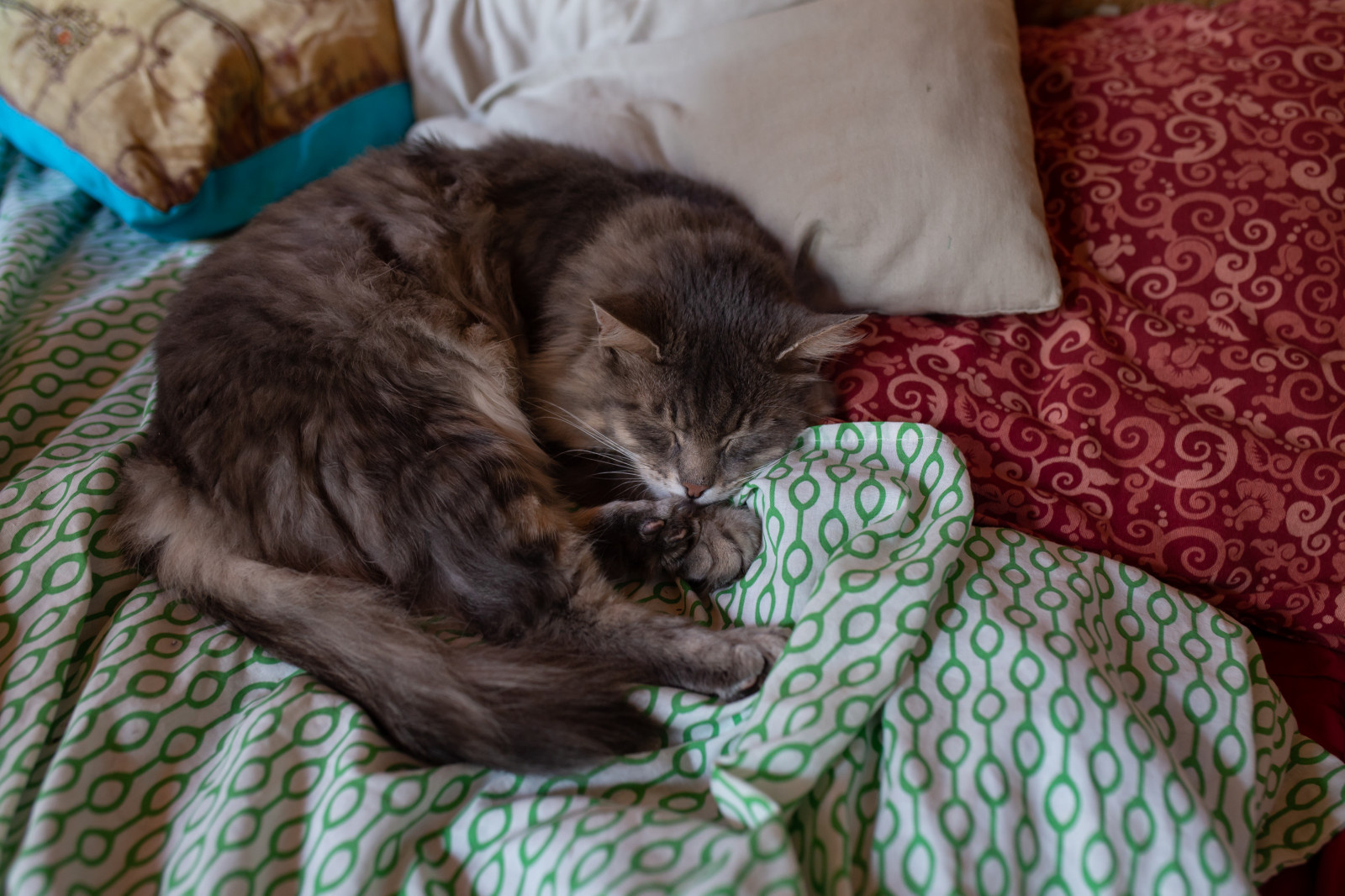 В гостях: Соломенный дом, вдохновленный Зеленой школой на Бали