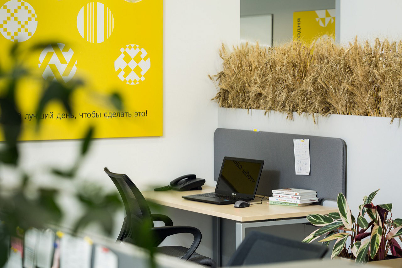 Oleos Trading office