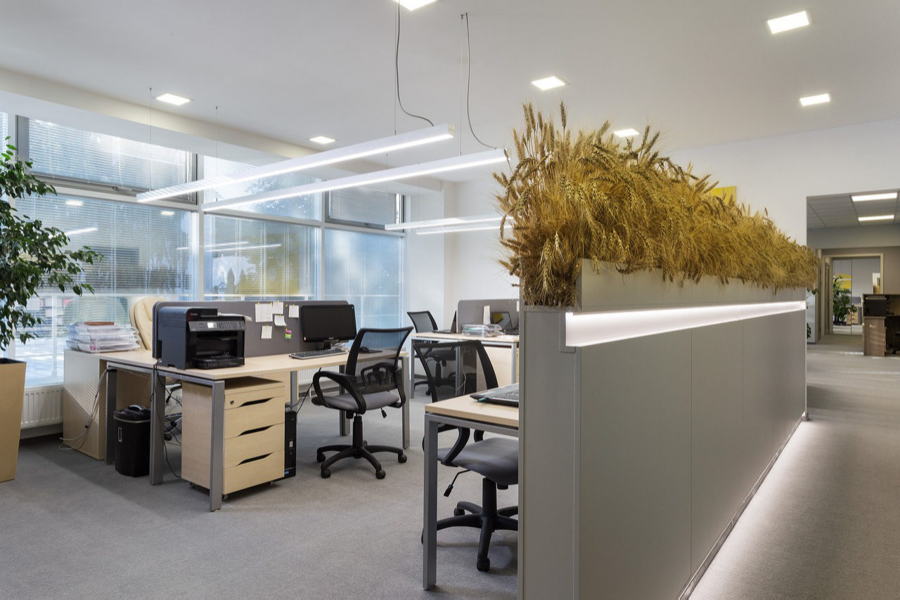 Oleos Trading office
