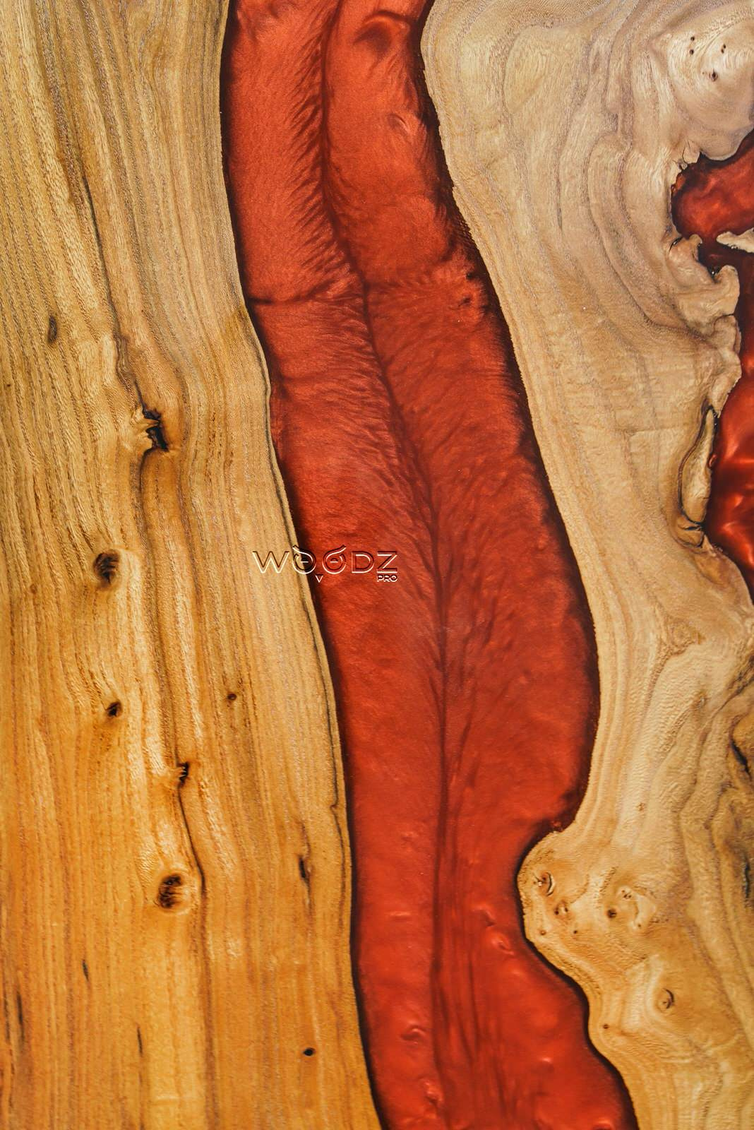 Обложка проекта: Model 231