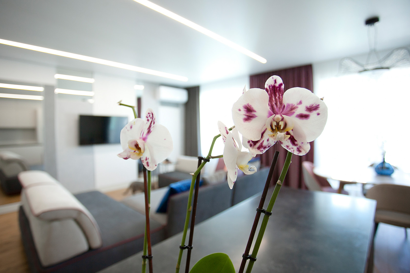 Элегантный современный