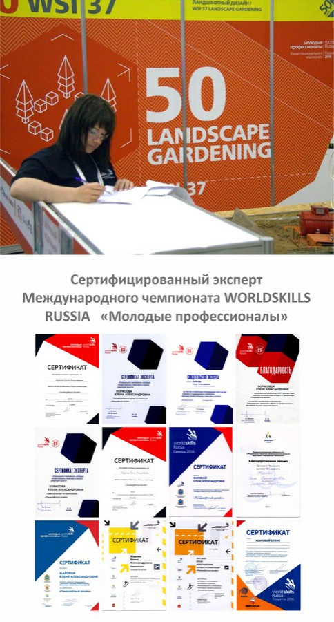 НАШИ ДОСТИЖЕНИЯ