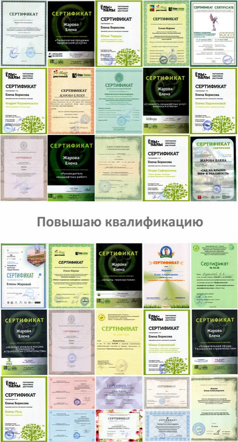 НАШИ ДОСТИЖЕНИЯ