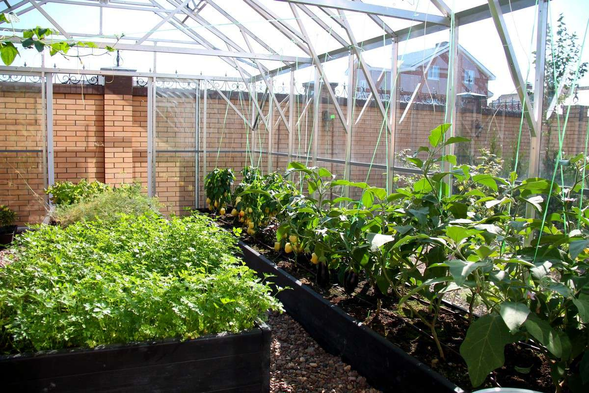 Сад Семьи К.