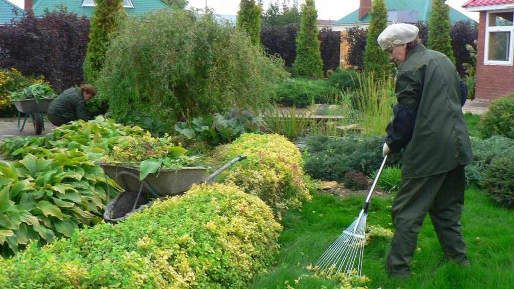 "Северное сияние"