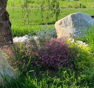 Территория удовольствий.Частный сад.