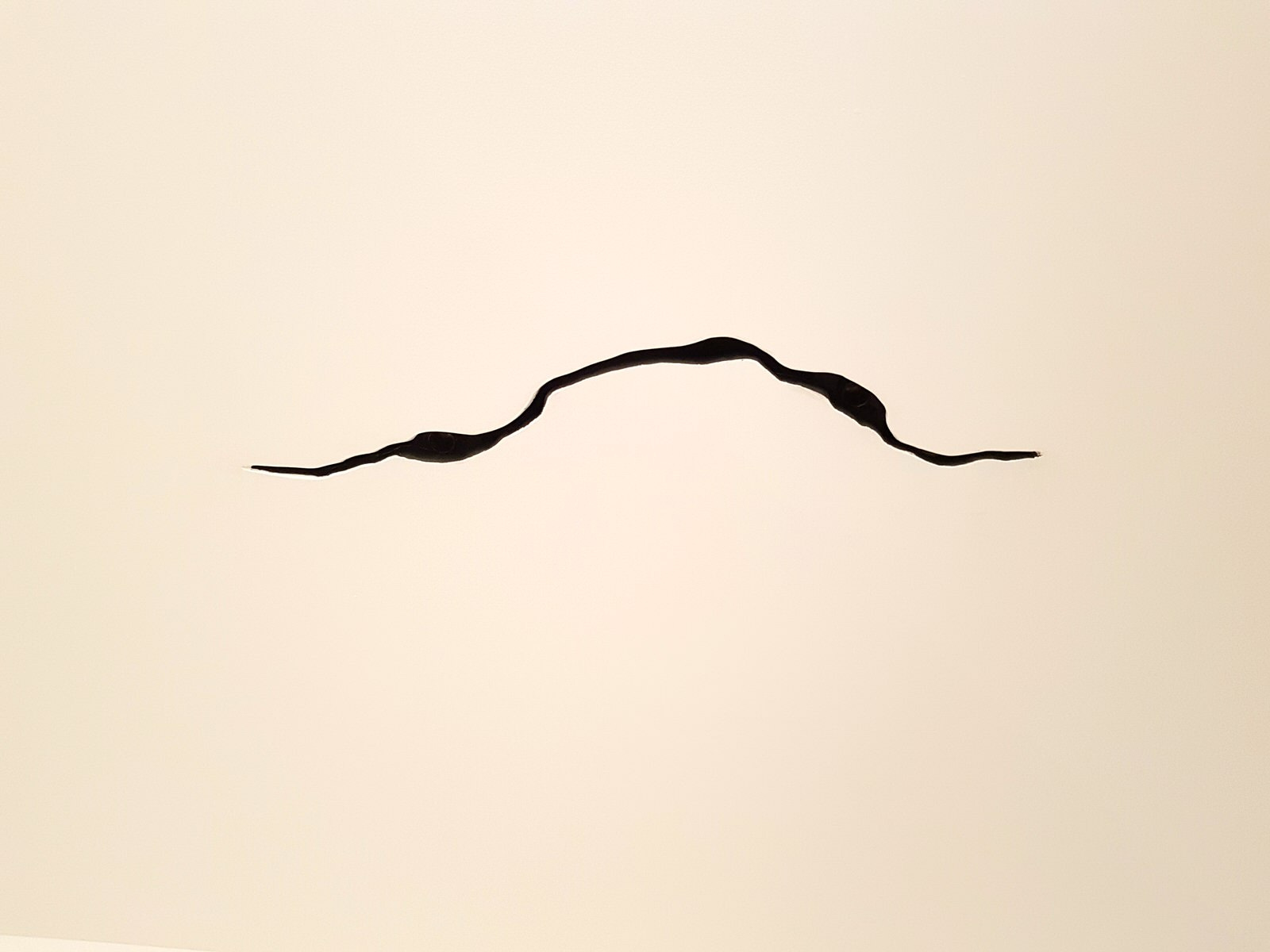 Монтаж встроенных и трековых систем освещения