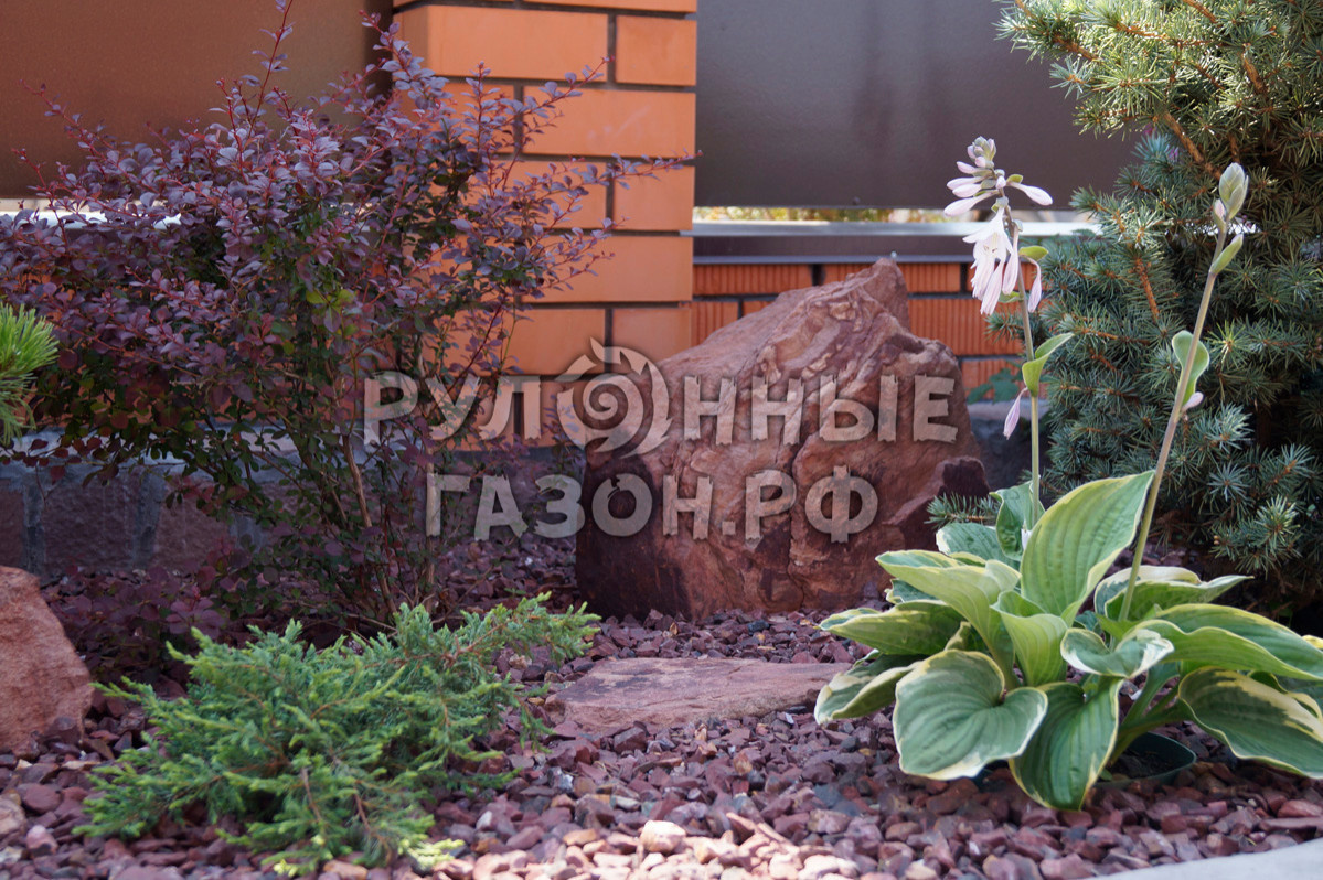 Примеры работ