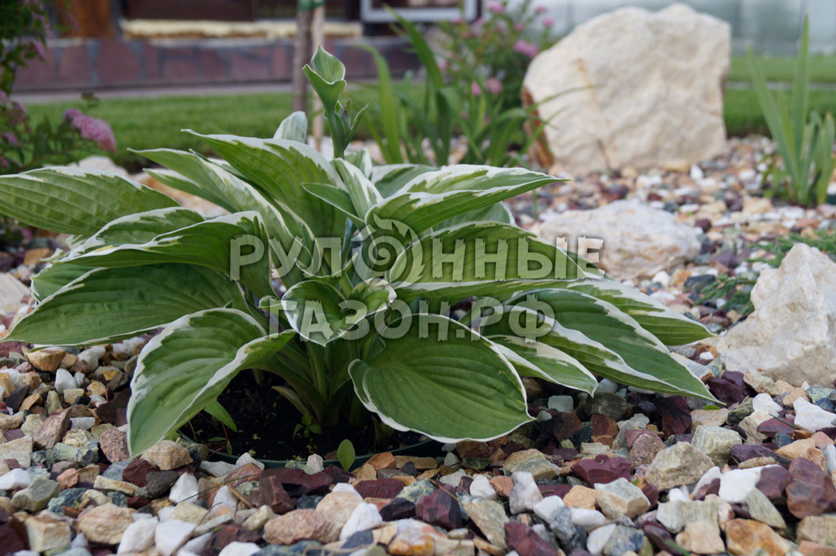 Примеры работ