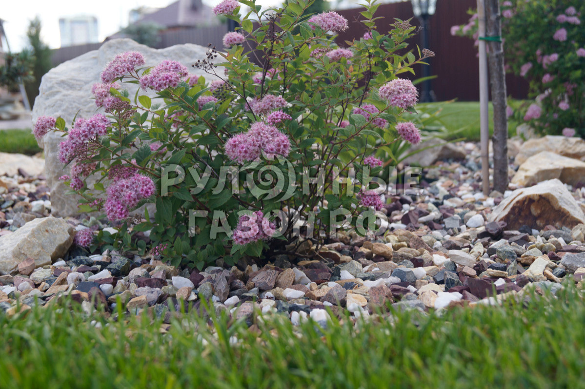 Обложка проекта: Примеры работ