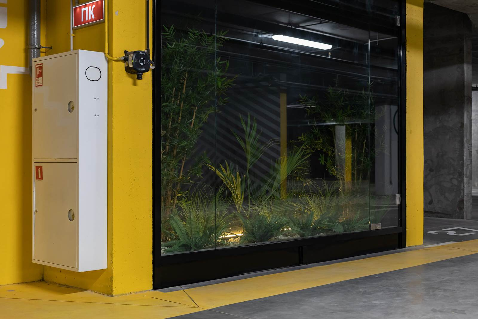 Природа в доме