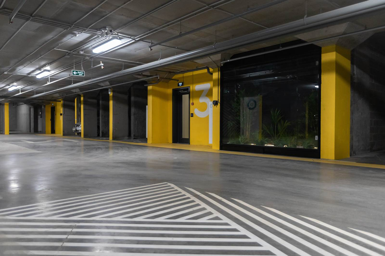 Природа в доме