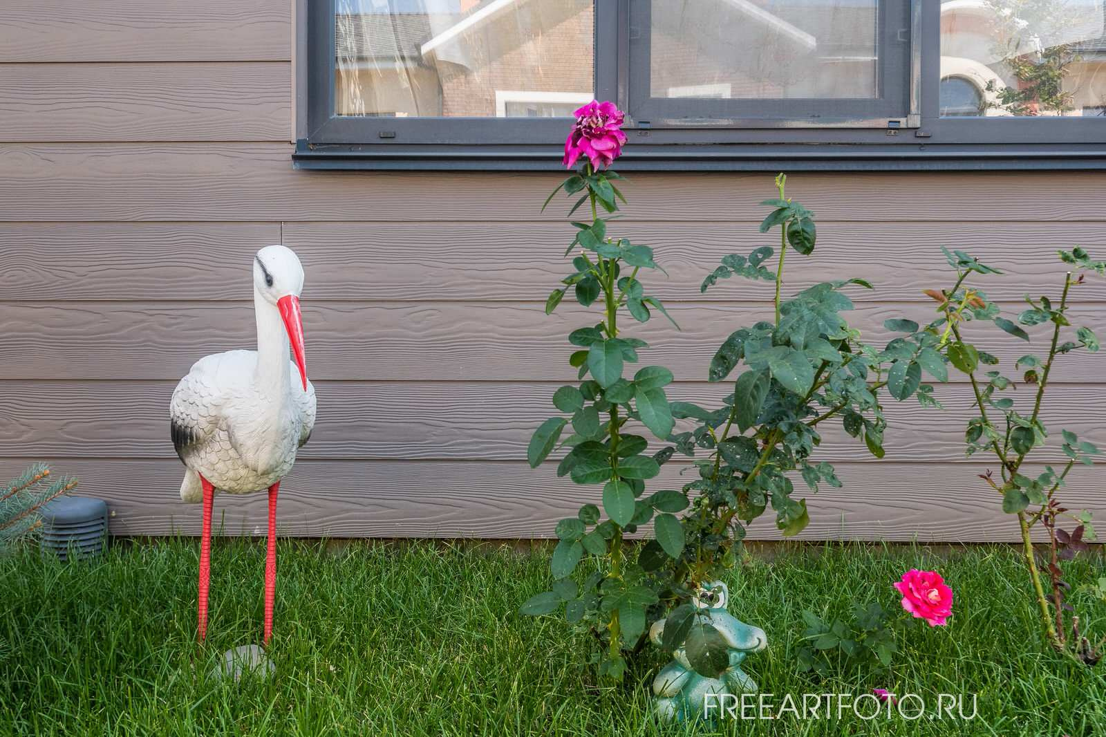 Архитектурная съемка для  "Сedral"
