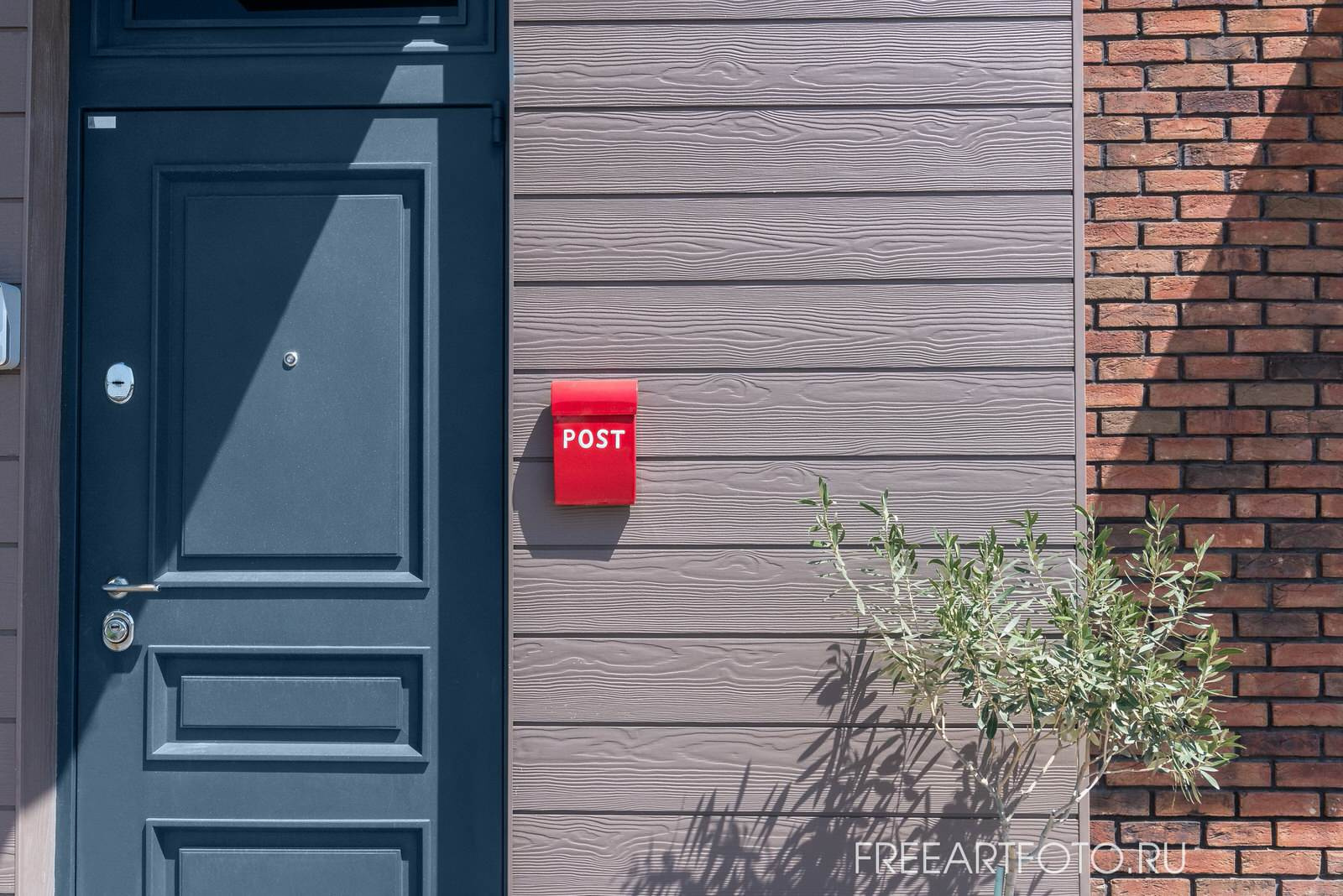 Архитектурная съемка для "Сedral"