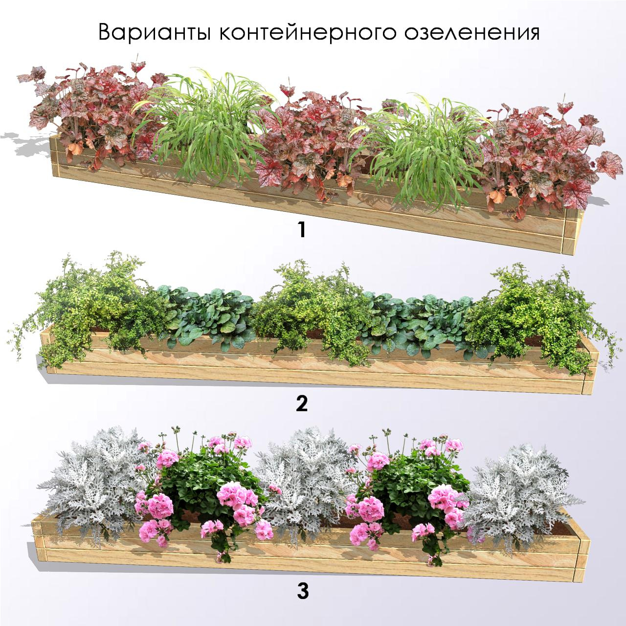 Контейнерное озеленение кафе