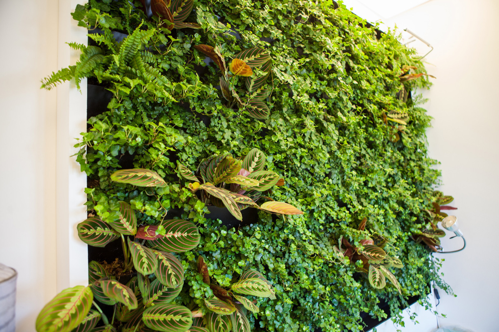 Салон красоты/фотостудия "№19"