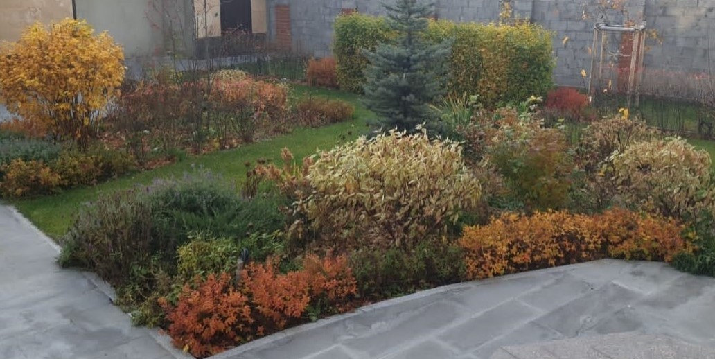 Осень в полосатом саду.