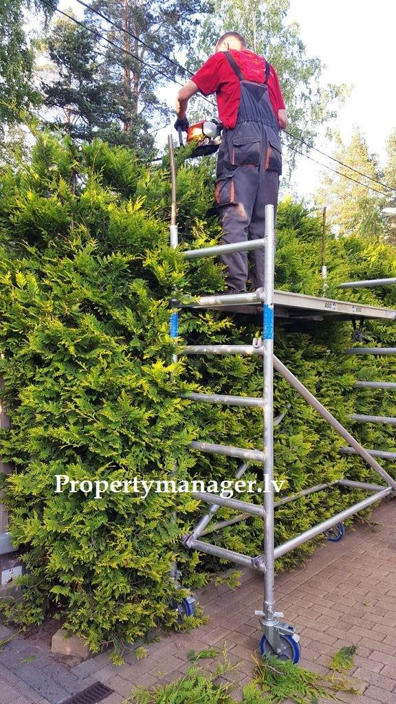 Наши работы