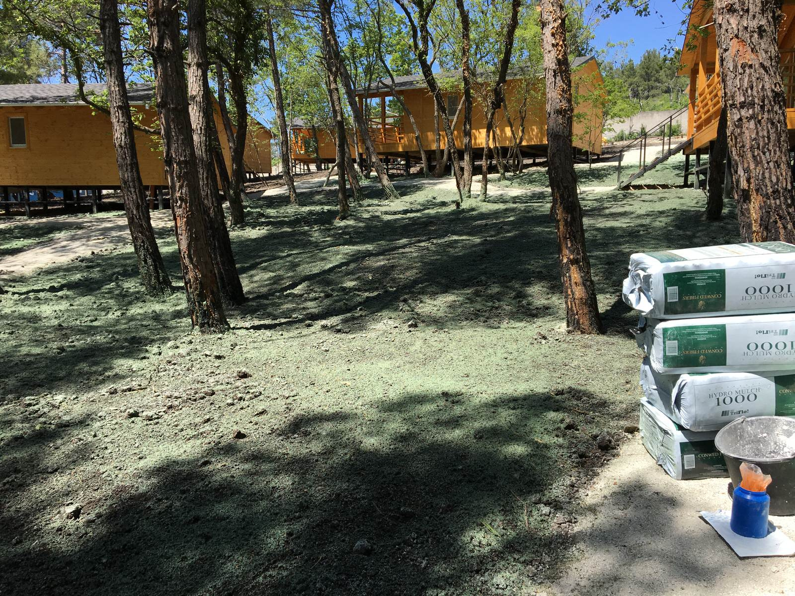 Гидропосев газона на базе отдыха