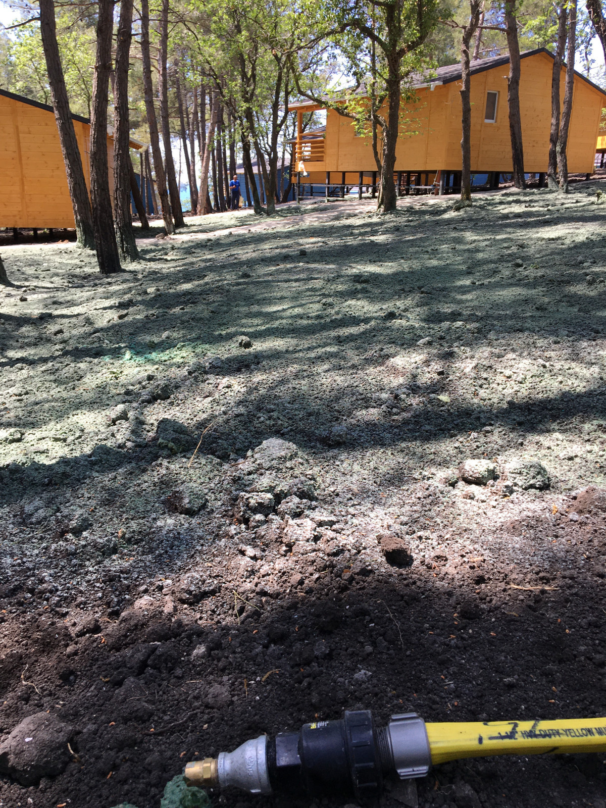 Гидропосев газона на базе отдыха