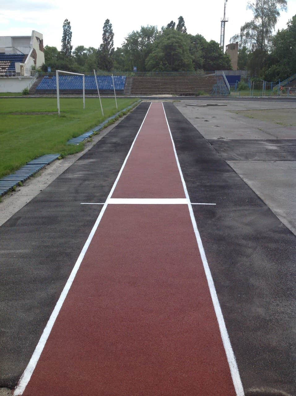 Обложка проекта: Проект 11