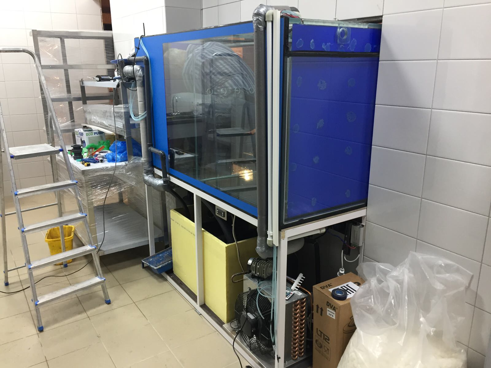 Аквариум для продажи рыбы в ресторане