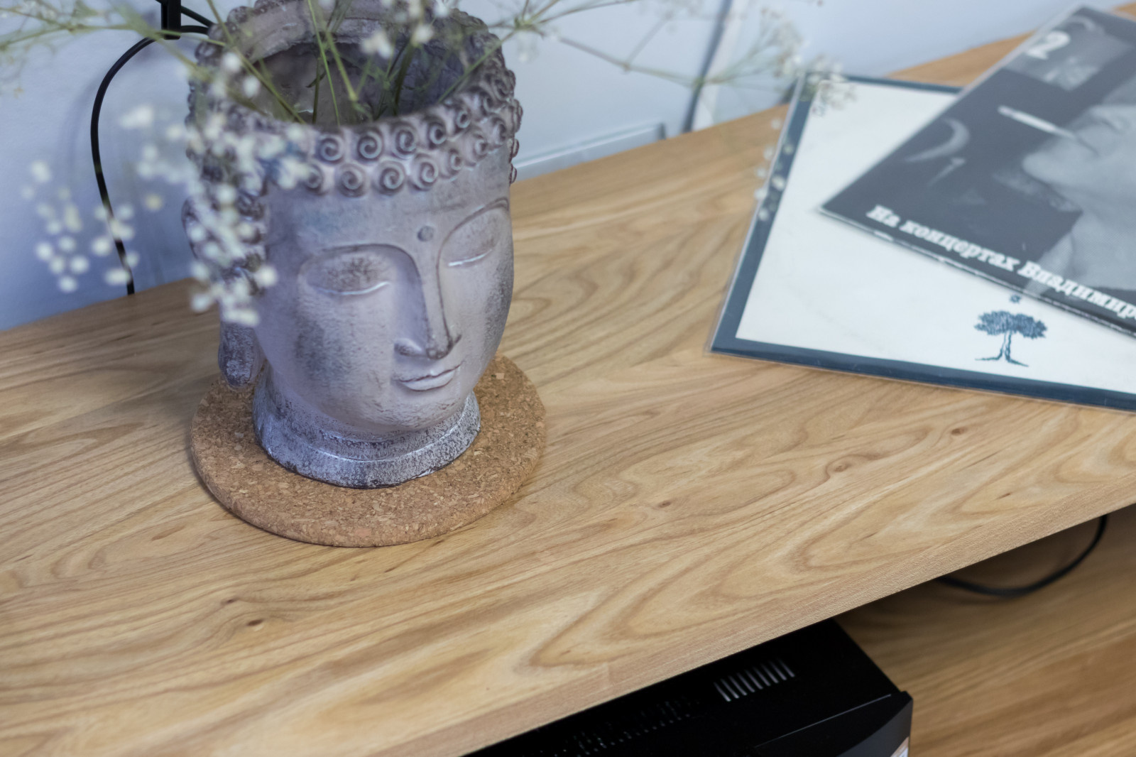 Стеллаж-тумба из стекла и массива бука в гостиной