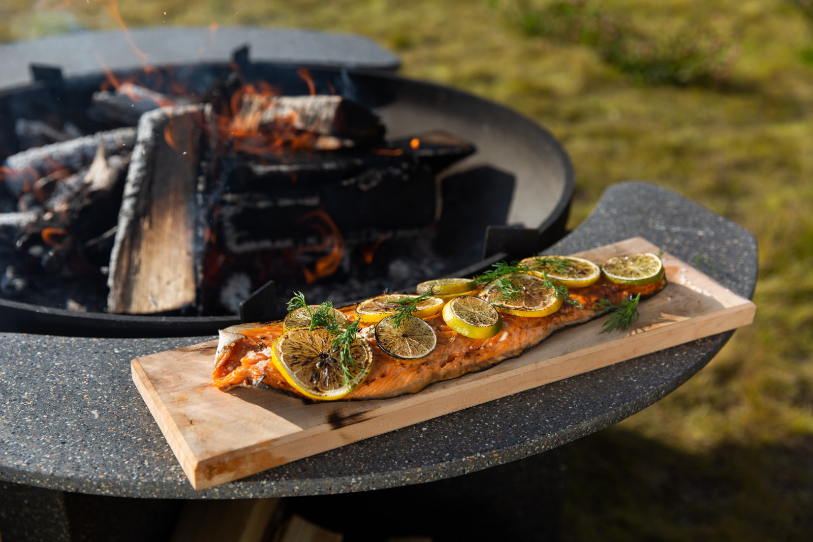 Готовим на костровых чашах