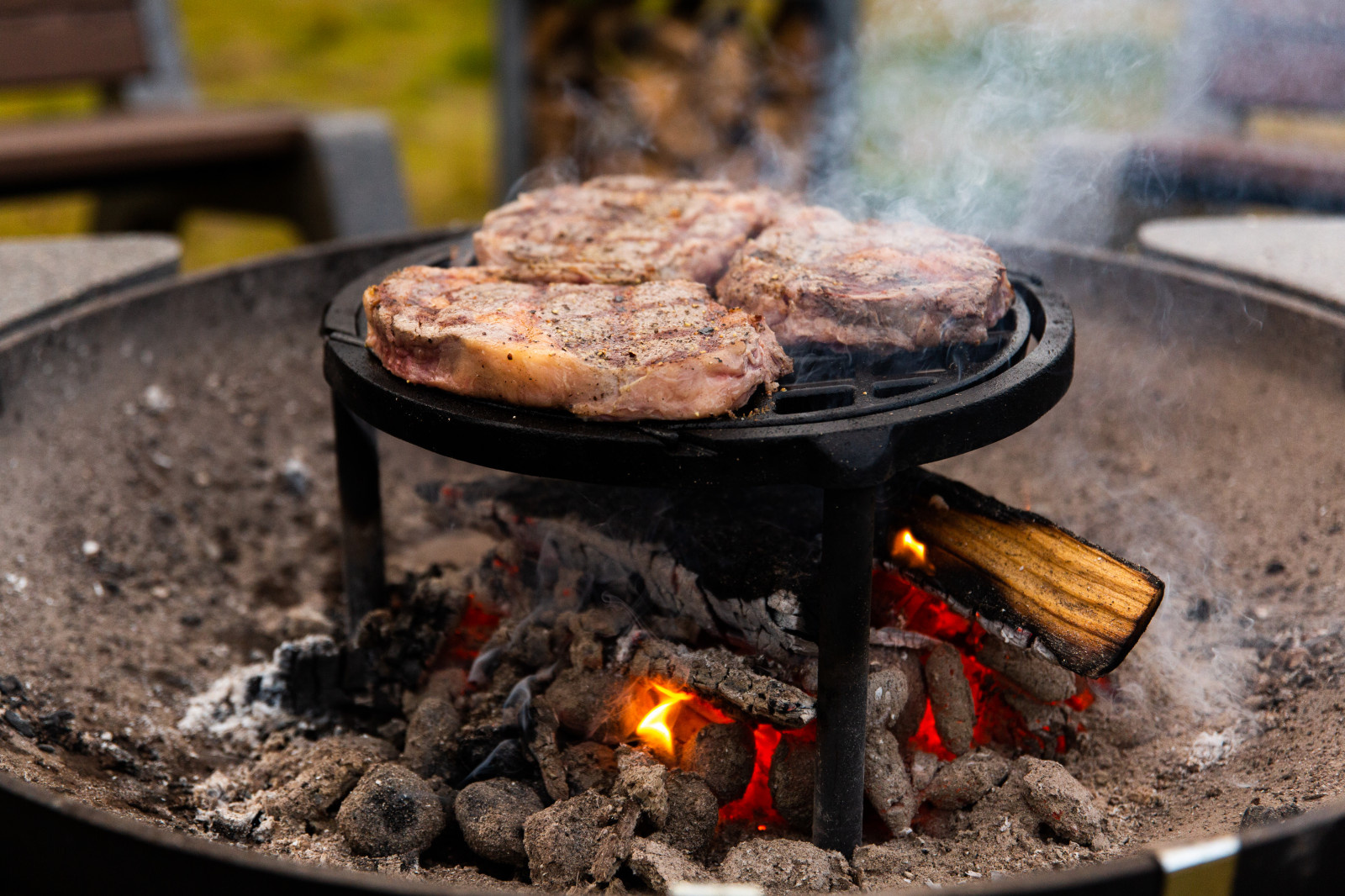 Готовим на костровых чашах