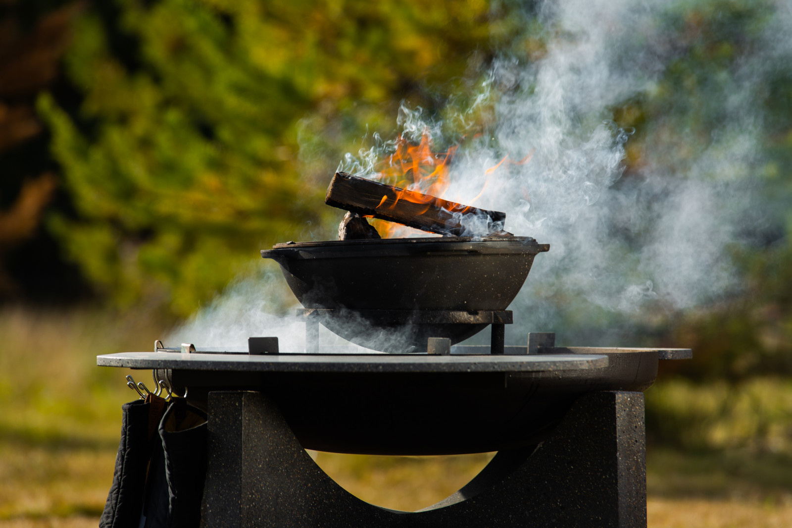 Готовим на костровых чашах