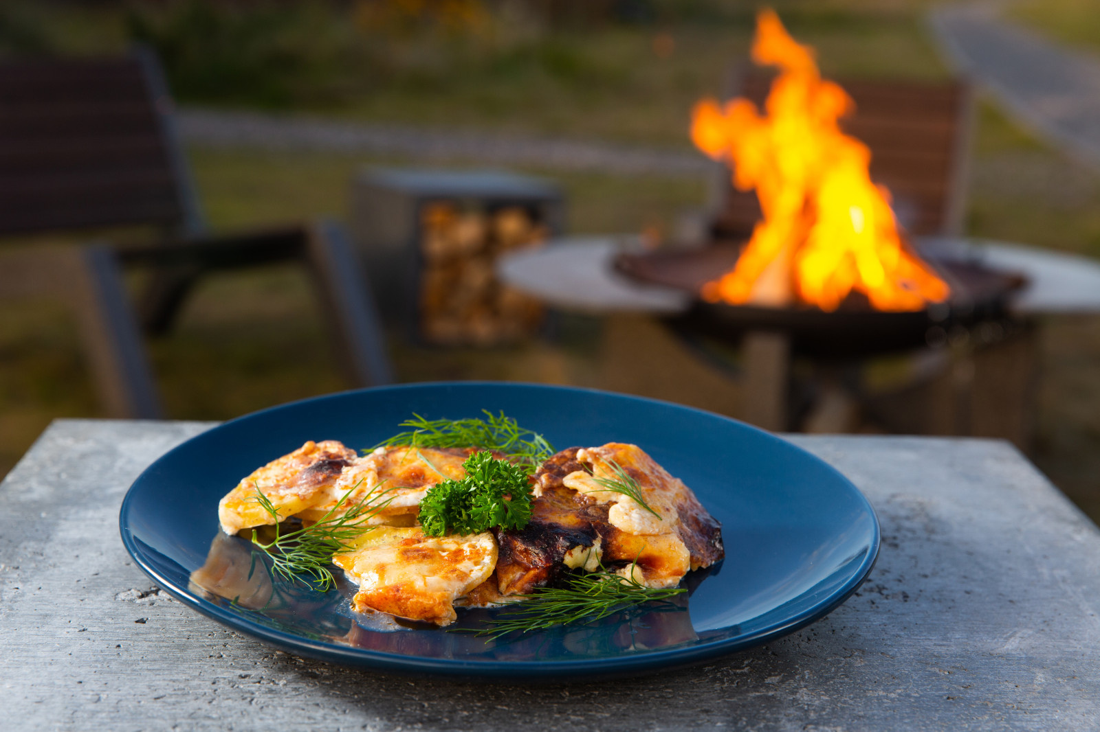 Готовим на костровых чашах