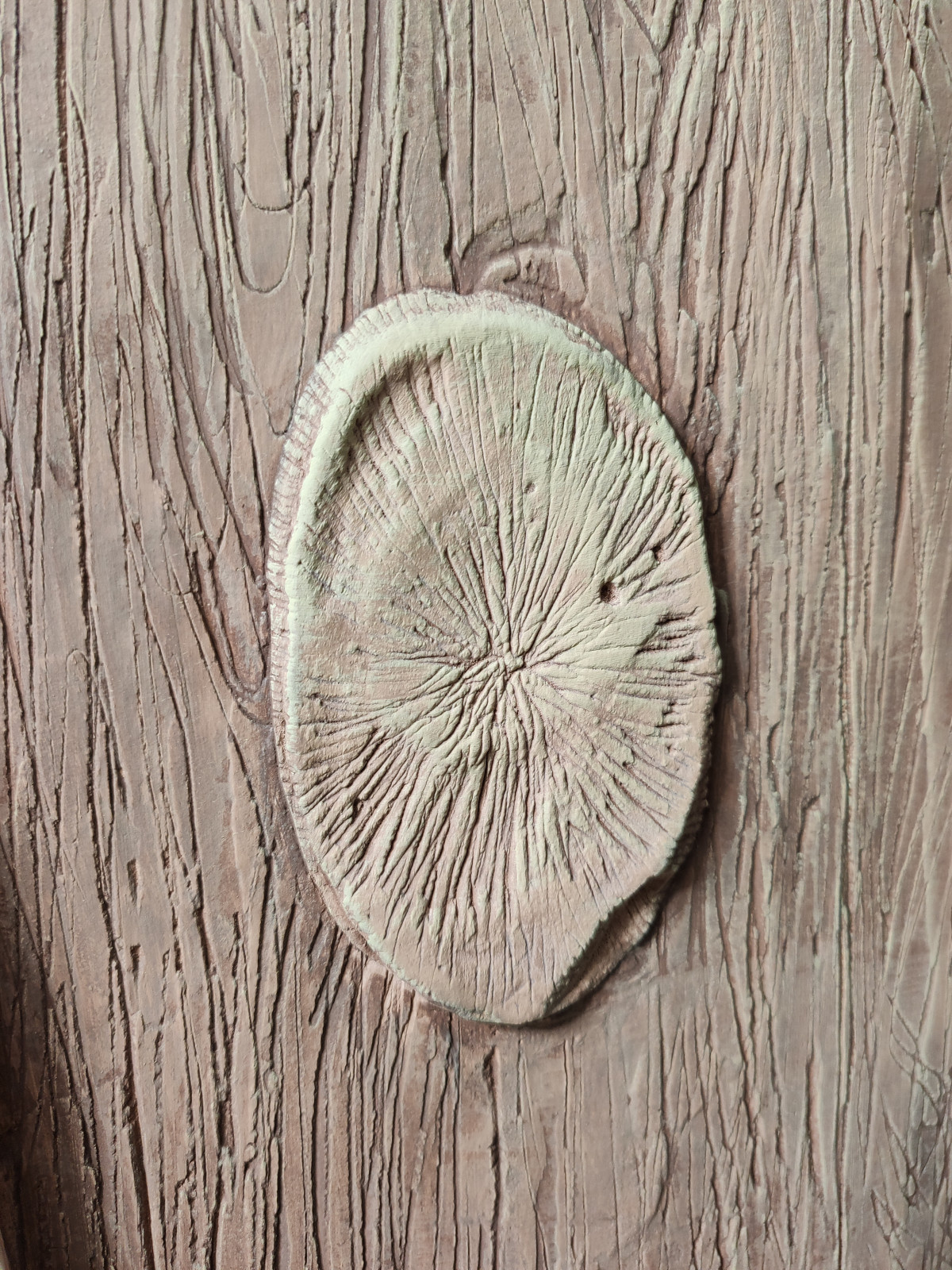 Барельеф Италия