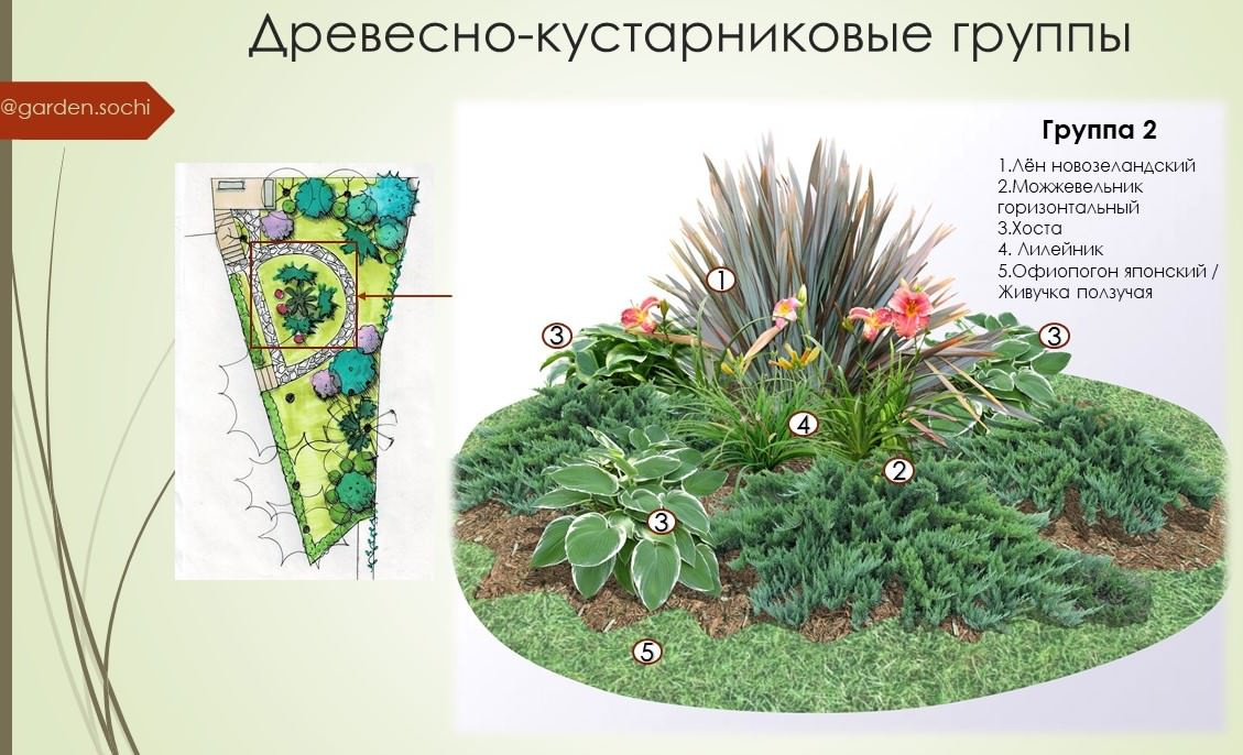 Тенистый сад с вечнозелеными растениями