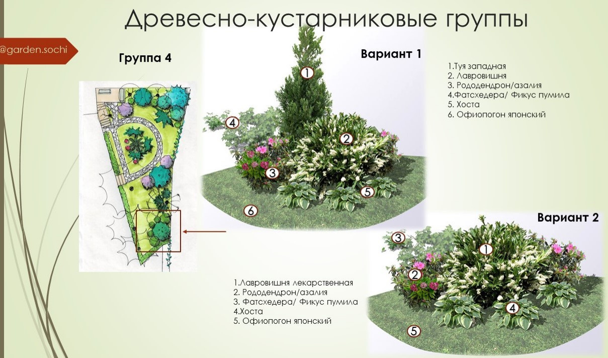 Тенистый сад с вечнозелеными растениями