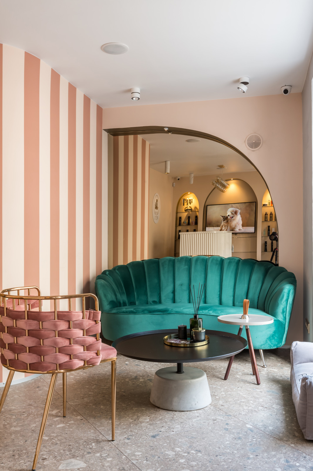 Салон красоты для животных. Груминг в центре Москвы.