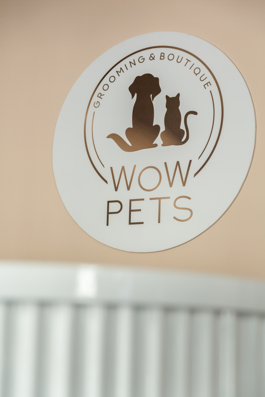 Обложка проекта: Салон красоты для животных. Груминг в центре Москвы.