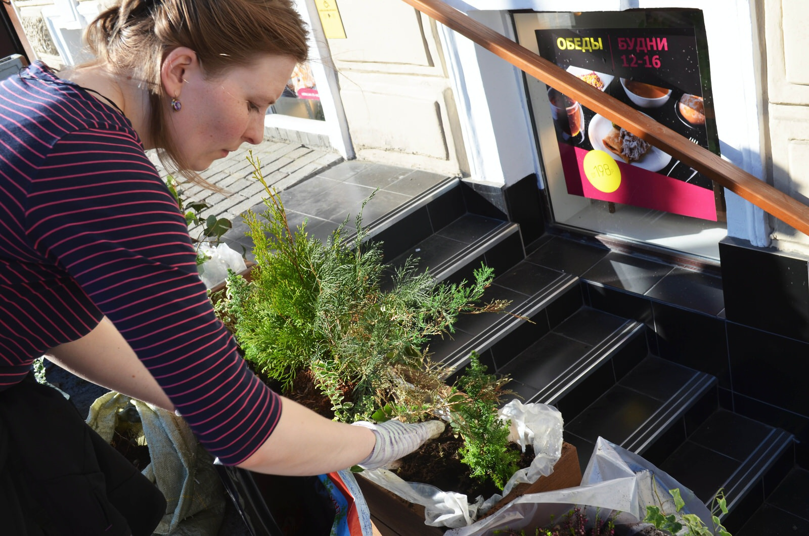 Работа специалистов по озеленению