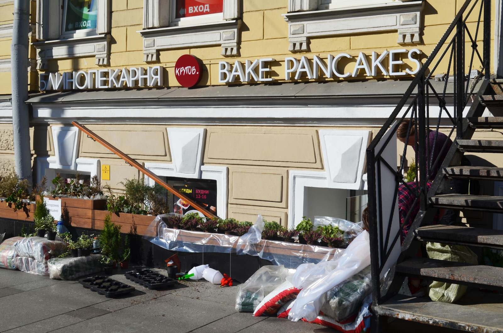 Озеленение входных групп